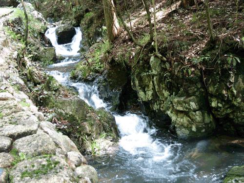 挖掘地方特色文化 赋能和美乡村建设 贵州日报天眼新闻记者 鲁毅